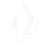 Plataforma Educativa